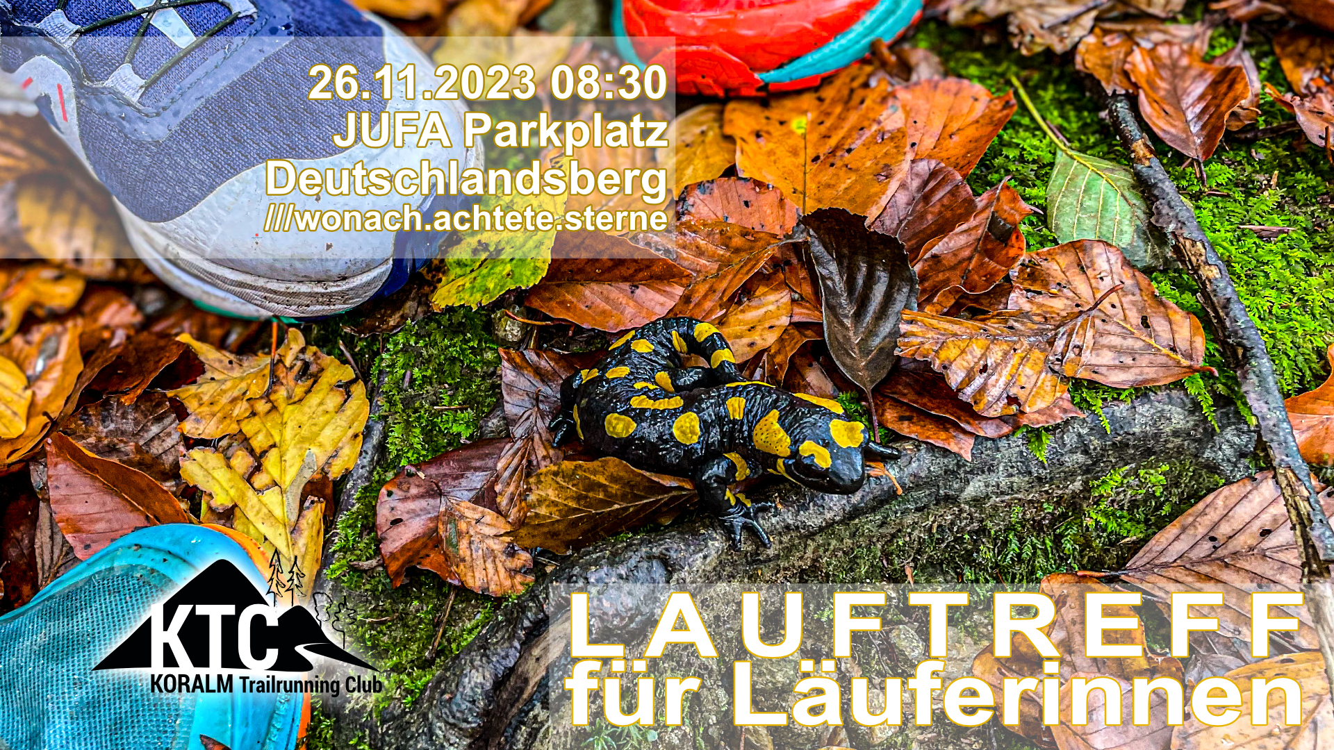 Lauftreff, 26.11.2023: Von und für Läuferinnen