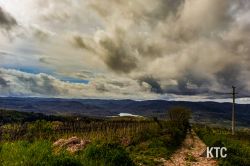 2023-04-14_Istria_100_-_20230415_103347