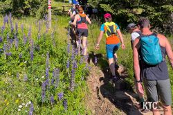 2023-07-15_Deutschlandsberg_-_Speik_-_Wolfsberg_und_zurück_-_IMG_1307