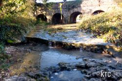 2023-11-04_Obala_Ultra_Trail_Izola_-_20231104_093725