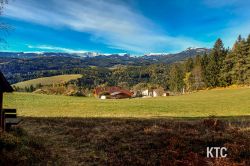 2023-11-12_Lauftreff_MIDDLE_-_20231112_102252