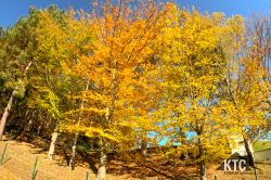 2023-11-12_Lauftreff_MIDDLE_-_GOPR9274