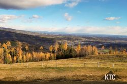 2023-11-26_TrailLadies_Wolfgangl_-_20231126_093615