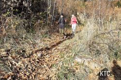 2023-11-26_TrailLadies_Wolfgangl_-_20231126_094335