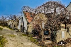 2024-01-26_Burgenland_Extrem_Final_Trail_-_IMG_8183