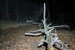 2024-02-22_-_IMG_8319