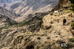2024-02-24_Transgrancanaria_-_IMG_8406 2024-02-24_Transgrancanaria_-_IMG_8406