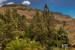 2024-02-24_Transgrancanaria_-_IMG_8558 2024-02-24_Transgrancanaria_-_IMG_8558