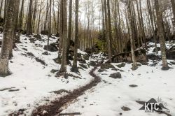 2024-04-27_Ultra_Trail_UTVV_Vipava_Valley_-_20240427_102403