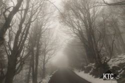 2024-04-27_Ultra_Trail_UTVV_Vipava_Valley_-_20240427_104329_001