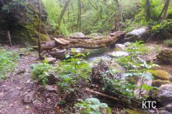 2024-04-27_Ultra_Trail_UTVV_Vipava_Valley_-_20240427_142705