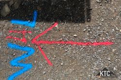 2024-05-05_Wings_For_Life_Worldrun_-_IMG_0524