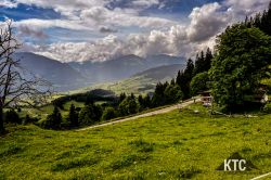 2024-05-25_Schwarzach_Trail_-_IMG_0867