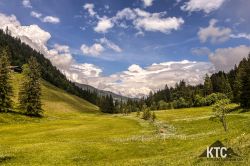 2024-05-25_Schwarzach_Trail_-_IMG_1546