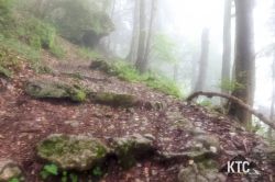 2024-06-15_PTRF_Podbrdo_Trail_Running_Festival_-_20240615_081215 2024-06-15_PTRF_Podbrdo_Trail_Running_Festival_-_20240615_081215