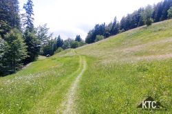 2024-06-15_PTRF_Podbrdo_Trail_Running_Festival_-_20240615_131554 2024-06-15_PTRF_Podbrdo_Trail_Running_Festival_-_20240615_131554