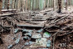 2024-06-15_PTRF_Podbrdo_Trail_Running_Festival_-_20240615_140928 2024-06-15_PTRF_Podbrdo_Trail_Running_Festival_-_20240615_140928