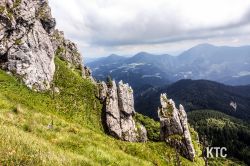 2024-06-15_PTRF_Podbrdo_Trail_Running_Festival_-_20240615_143336 2024-06-15_PTRF_Podbrdo_Trail_Running_Festival_-_20240615_143336