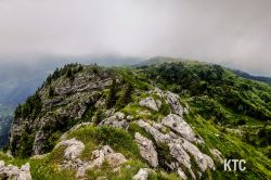 2024-06-15_PTRF_Podbrdo_Trail_Running_Festival_-_20240615_145754 2024-06-15_PTRF_Podbrdo_Trail_Running_Festival_-_20240615_145754
