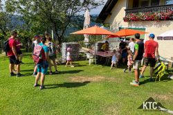 2024-08-15_Bewegungsrevolution_Wolfgangi_-_IMG_4406