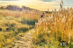 2024-11-02_Kullamannen_-_IMG_1182