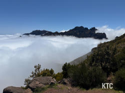 2025-04-25_MIUT_-_IMG_1742