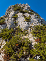 2025-09-19_Hochstuhl_Grenzabenteuer_-_20250919_132017