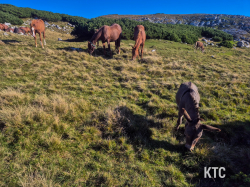 2025-09-19_Hochstuhl_Grenzabenteuer_-_20250919_170159