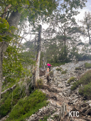 2025-09-19_Julian_Alps_Trail_Run_-_IMG_8647