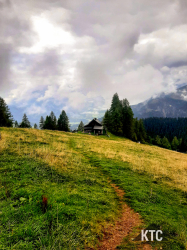 2025-09-27_Alpine_Team_Trail_-_20250928_115042