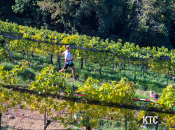 2025-10-18_Südsteirischer_Terrassenlauf_-_20251018_114316