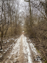 2026-01-23_Burgenland_Extrem_120k_-_IMG_3421