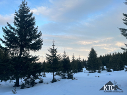 2026-01-23_Langlauf_Skating_Kurs_-_IMG_7689