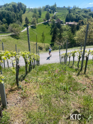 2026-05-02_Welschlauf_-_IMG_0615