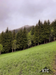 2026-05-16_Schwarzach_Trail_-_20260516_114334