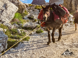 2026-06-26_Lavaredo_Ultratrail_LUT_-_20260627_0801340